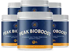 Peak BioBoost 6 bottle